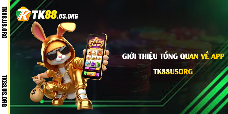 Giới thiệu tổng quan về App Tk88
